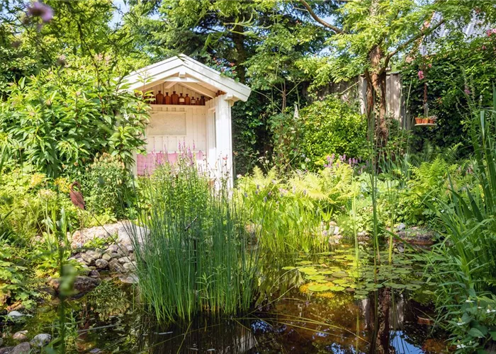 Schädlinge und Krankheiten an Wasserpflanzen erkennen Schädlinge und Krankheiten an Wasserpflanzen erkennen